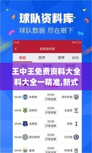 王中王免费资料大全料大全一精准,新式数据解释设想_共享版ESX83.649