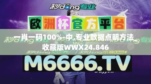 一肖一码100%-中,专业数据点明方法_收藏版WWX24.846
