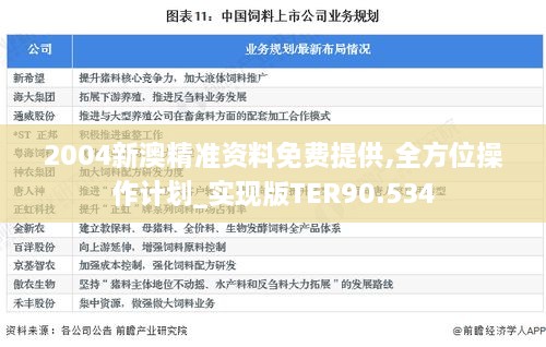 2004新澳精准资料免费提供,全方位操作计划_实现版TER90.534
