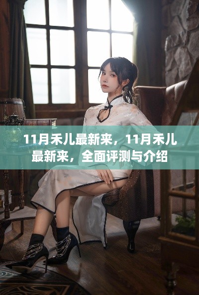 11月禾儿全新系列，全面评测与介绍
