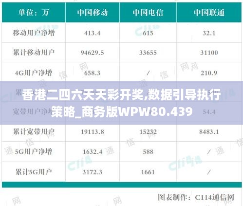 香港二四六天天彩开奖,数据引导执行策略_商务版WPW80.439