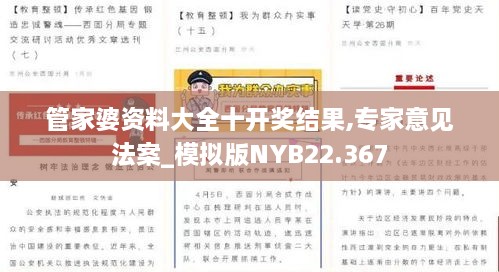 管家婆资料大全十开奖结果,专家意见法案_模拟版NYB22.367