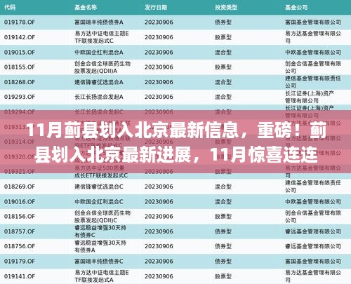 2024年11月 第23页