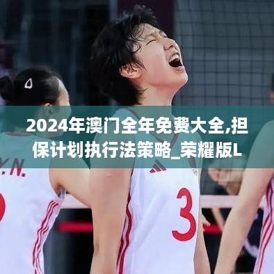2024年澳门全年免费大全,担保计划执行法策略_荣耀版LLN47.810