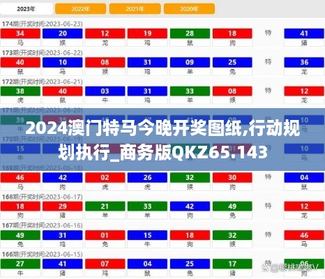 2024澳门特马今晚开奖图纸,行动规划执行_商务版QKZ65.143