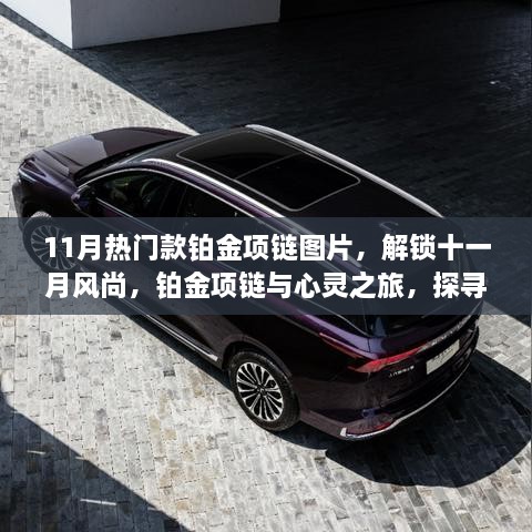 2024年11月 第17页