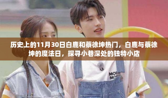 2024年11月 第14页