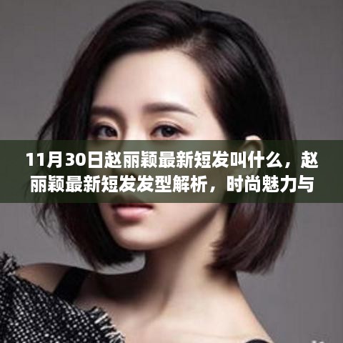 2024年11月 第11页