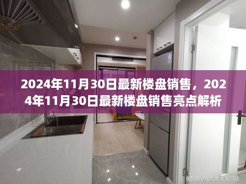 2024年11月30日最新楼盘销售亮点解析