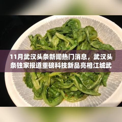 武汉科技新品亮相引领未来生活潮流独家报道重磅出炉
