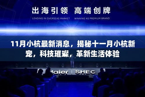 揭秘十一月小杭新宠，科技革新璀璨生活体验
