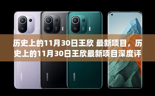 王欣最新项目深度评测与介绍，历史上的11月30日回顾与前瞻。