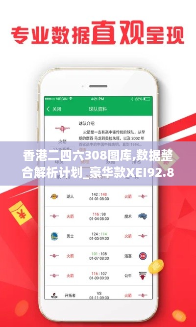 香港二四六308图库,数据整合解析计划_豪华款XEI92.802