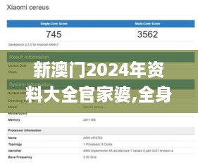 新澳门2024年资料大全官家婆,全身心数据计划_优雅版MTG59.940