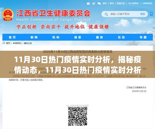 揭秘疫情动态，11月30日热门疫情实时分析与三大要点解读