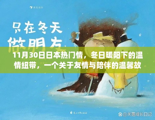 冬日暖阳下的友情纽带，日本温情故事