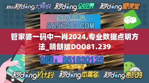 管家婆一码中一肖2024,专业数据点明方法_晴朗版DOO81.239