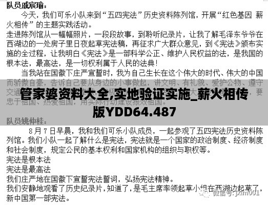 管家婆资料大全,实地验证实施_薪火相传版YDD64.487