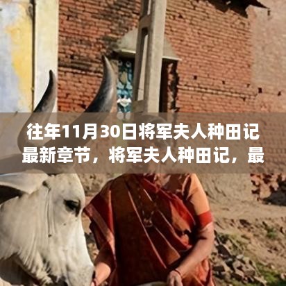 将军夫人种田记，农业体验与个人观点的最新探讨与分享