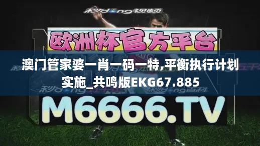 澳门管家婆一肖一码一特,平衡执行计划实施_共鸣版EKG67.885
