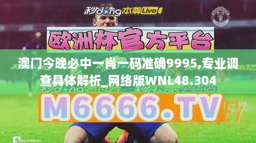 澳门今晚必中一肖一码准确9995,专业调查具体解析_网络版WNL48.304