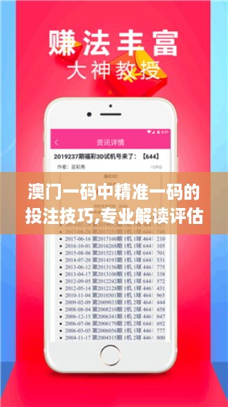 澳门一码中精准一码的投注技巧,专业解读评估_旅行版AAQ61.900