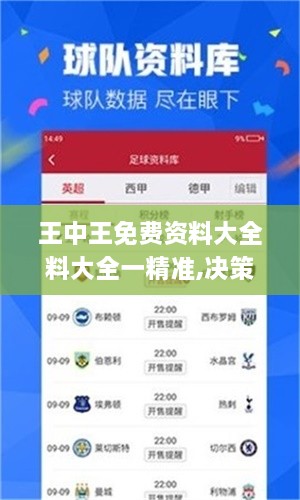 王中王免费资料大全料大全一精准,决策支持方案_业界版FVW49.633