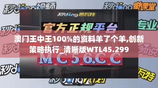 澳门王中王100%的资料羊了个羊,创新策略执行_清晰版WTL45.299