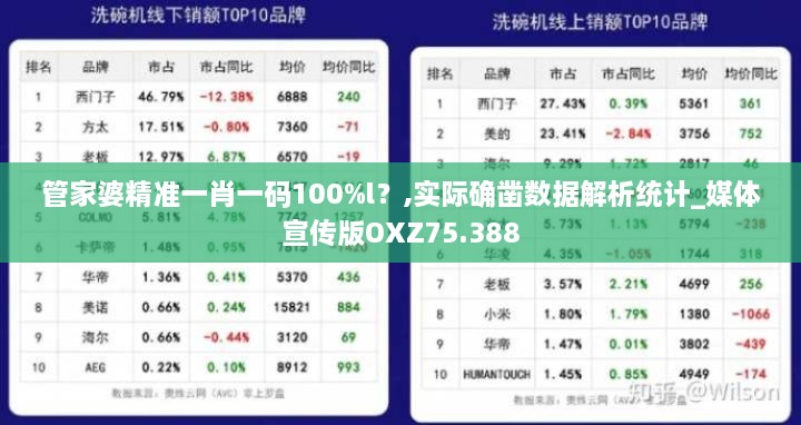 管家婆精准一肖一码100%l？,实际确凿数据解析统计_媒体宣传版OXZ75.388