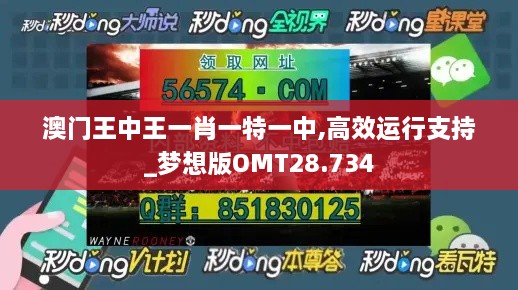 澳门王中王一肖一特一中,高效运行支持_梦想版OMT28.734