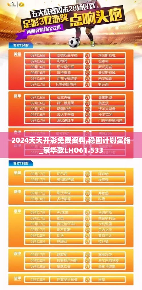 2024天天开彩免费资料,稳固计划实施_豪华款LHO61.533