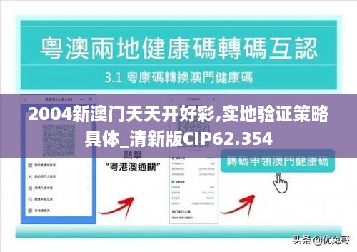 2004新澳门天天开好彩,实地验证策略具体_清新版CIP62.354