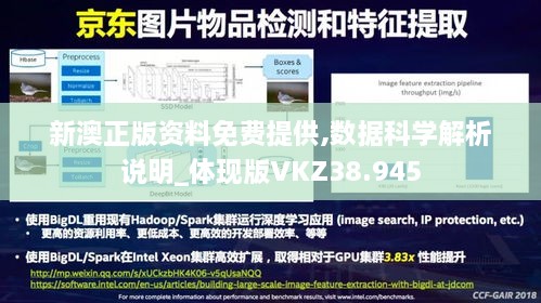新澳正版资料免费提供,数据科学解析说明_体现版VKZ38.945