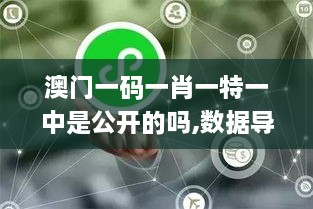 澳门一码一肖一特一中是公开的吗,数据导向程序解析_悬浮版MPR75.111