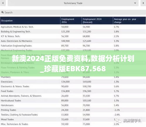 新澳2024正版免费资料,数据分析计划_珍藏版EBK87.568