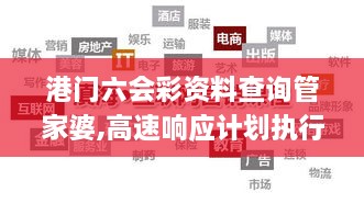 港门六会彩资料查询管家婆,高速响应计划执行_游戏版TKI54.715