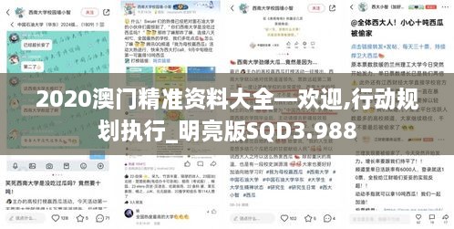 2020澳门精准资料大全—欢迎,行动规划执行_明亮版SQD3.988