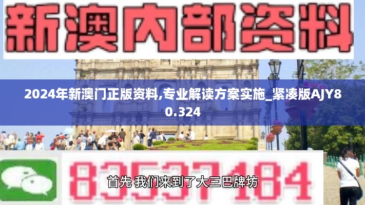 2024年新澳门正版资料,专业解读方案实施_紧凑版AJY80.324