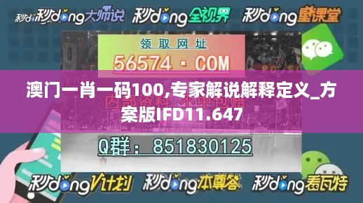 澳门一肖一码100,专家解说解释定义_方案版IFD11.647