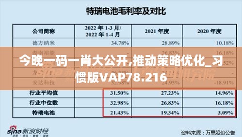 今晚一码一肖大公开,推动策略优化_习惯版VAP78.216