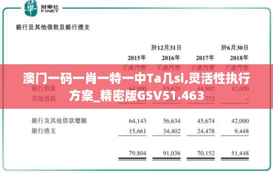 澳门一码一肖一特一中Ta几si,灵活性执行方案_精密版GSV51.463