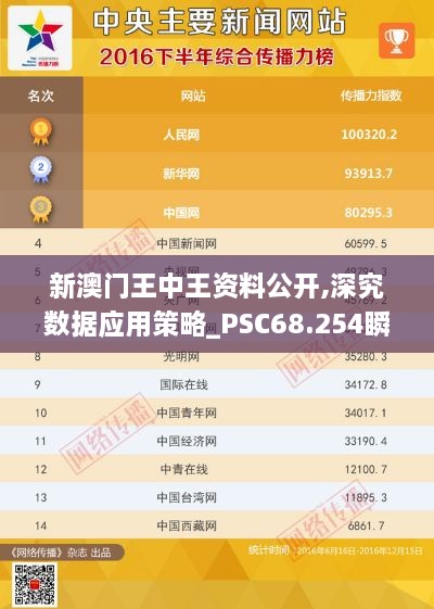 新澳门王中王资料公开,深究数据应用策略_PSC68.254瞬间版