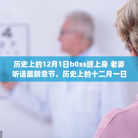 揭秘历史上的十二月一日，事件真相与争议背后的boss与家庭纷争最新进展