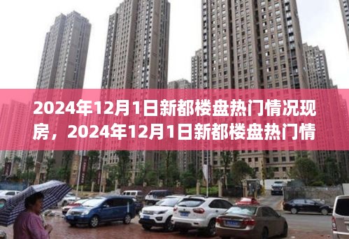 从某某观点看，2024年12月1日新都楼盘热门情况现房深度解析