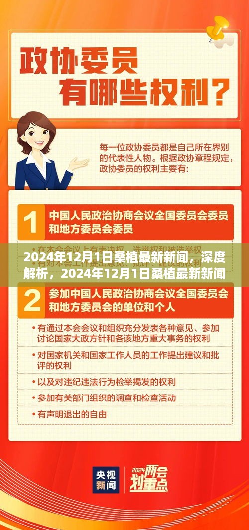 深度解析，2024年12月1日桑植最新新闻报道综合评测