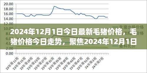 笨鸟先飞 第3页