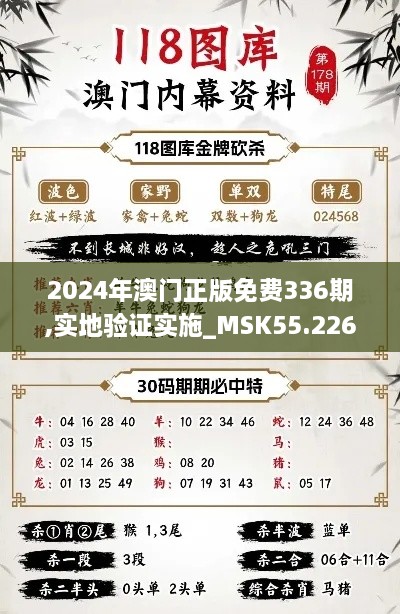 2024年澳门正版免费336期,实地验证实施_MSK55.226经典版