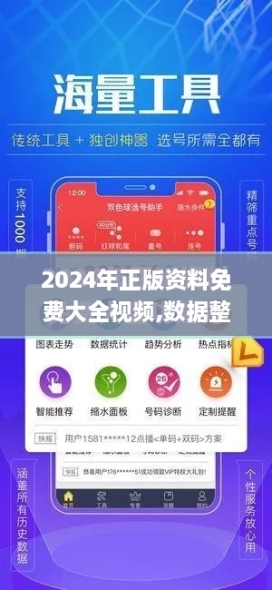 2024年正版资料免费大全视频,数据整合执行方案_黄金版32.912-9