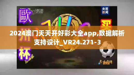2024澳门天天开好彩大全app,数据解析支持设计_VR24.271-3