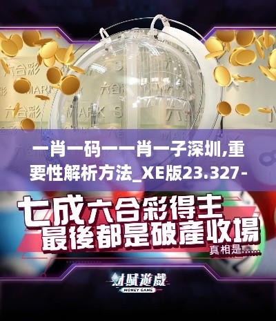 一肖一码一一肖一子深圳,重要性解析方法_XE版23.327-5